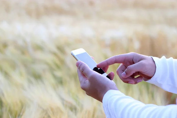 mobile phone in hand on background of field. search mobile network