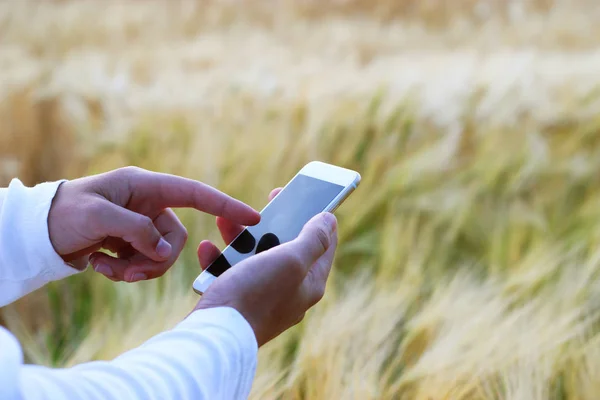 mobile phone in hand on background of field. search mobile network