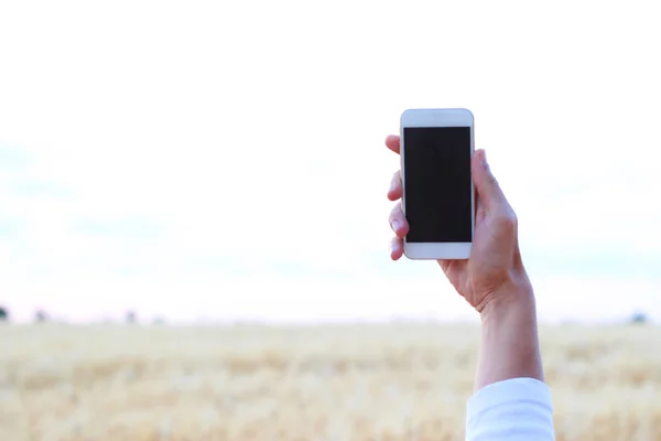 modern mobile phone in hand on a background of field. search mobile network