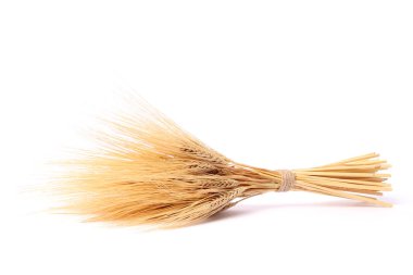 buğday üzerinde beyaz izole. Spikelets, demet