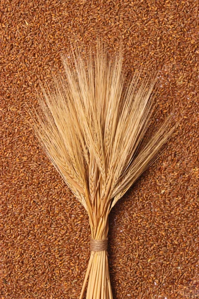 Колоски Пшеничному Тлі Зверху Пшениця Хліб Урожай — стокове фото
