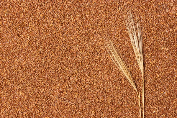 小穗在小麦背景顶视图 — 图库照片