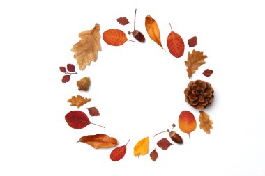 Beyaz arkaplan görünümündeki yaprakların sonbahar kompozisyonu. Metin, minimalizm, insta, düz konum