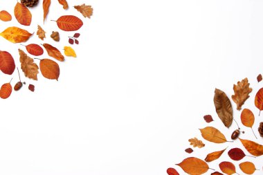 Beyaz arkaplan görünümündeki yaprakların sonbahar kompozisyonu. Metin, minimalizm, insta, düz konum