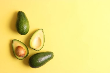 Renkli arka planda Avokado meyvesi.
