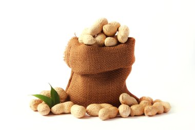 Beyaz arka planda kabuklu çiğ fıstık