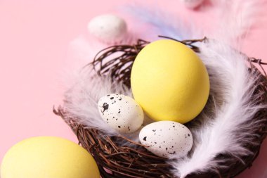 Paskalya bileşimi boyalı yumurta ve renkli bir arka plan tüyler. Paskalya arka plan
