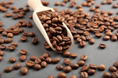 Renkli bir arka planda kahve çekirdekleri. Metin eklenecek yer, minimalizm