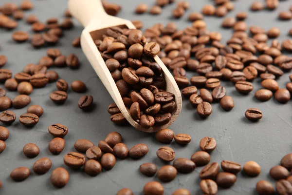 Renkli bir arka planda kahve çekirdekleri. Metin eklenecek yer, minimalizm