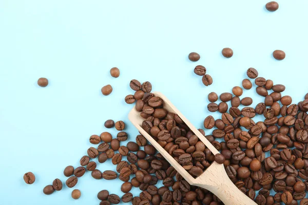 Renkli bir arka planda kahve çekirdekleri. Metin eklenecek yer, minimalizm