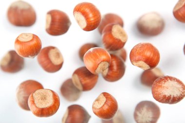 Fındık üstüne fındık, üstten bak.