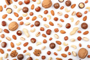 Hafif arkaplanda farklı fındıklar.