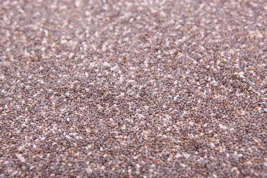 Chia tohumları beyaza izole edilmiş. Süper yiyecek, besin takviyesi, kilo kaybı.