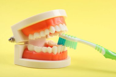 Dişlerinin ve diş bakım ürünlerinin renkli arkaplanda metinler için yeri olan modelleri