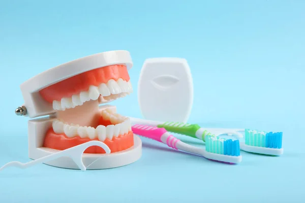 Dental model of teeth and dental care products on colored background with place for text