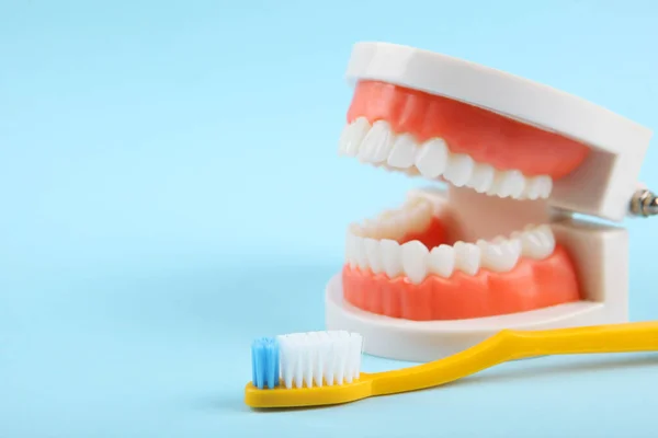 Modelo Dental Dientes Productos Cuidado Dental Sobre Fondo Color Con — Foto de Stock