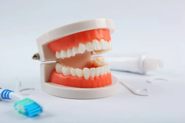 Model Stomatologiczny Zębów Produktów Pielęgnacji Zębów Jasnym Tle Miejscem Tekst — Zdjęcie stockowe