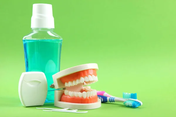 Dental model of teeth and dental care products on colored background with place for text