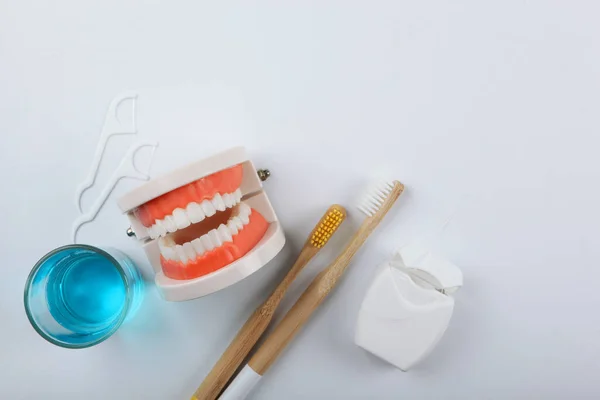 Modelo Dental Dientes Productos Cuidado Dental Sobre Fondo Claro Con — Foto de Stock