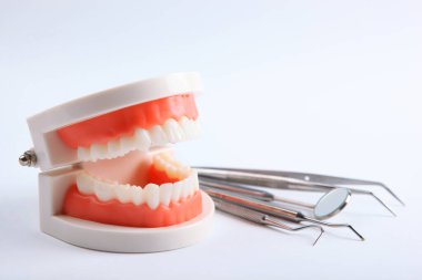 Dişlerin ve diş aletlerinin ve diş bakım ürünlerinin maketi, metin eklenecek bir yere sahip hafif bir arkaplan üzerinde