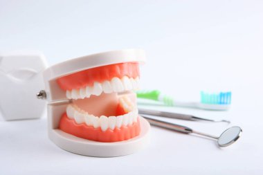 Dişlerin ve diş aletlerinin ve diş bakım ürünlerinin maketi, metin eklenecek bir yere sahip hafif bir arkaplan üzerinde