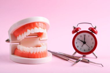 Renkli arka planda diş ve diş bakım ürünleri modeli