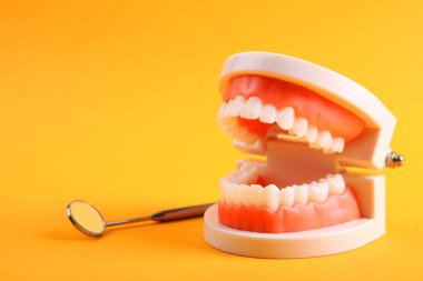 Renkli arka planda diş ve diş bakım ürünleri modeli