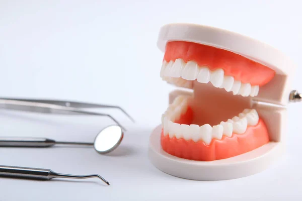 Model Przyrządów Dentystycznych Zębów Oraz Produktów Pielęgnacji Zębów Jasnym Tle — Zdjęcie stockowe