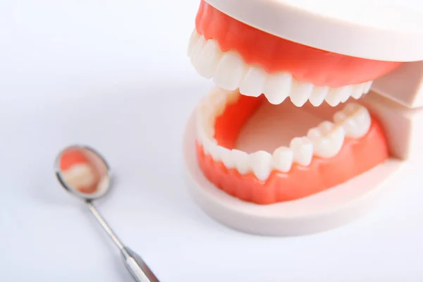 Model Przyrządów Dentystycznych Zębów Oraz Produktów Pielęgnacji Zębów Jasnym Tle — Zdjęcie stockowe