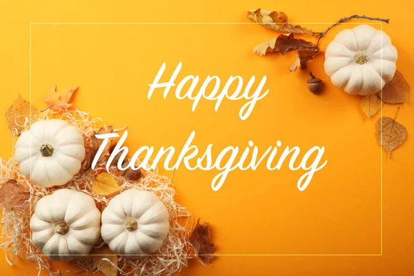 Beautiful Thanksgiving Background Top View — Stock Photo, Image