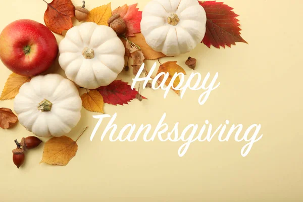 beautiful thanksgiving background top view