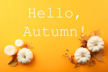 Metin üst görünümü için yeri olan düşen yapraklarla güzel sonbahar arkaplanı.