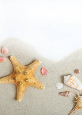 Kırmızı kalp, mavi arka planda, çocukların ellerinde. Yüksek kalite fotoğraf. Dikey fotoğraf biçimi