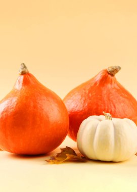 Renkli bir arka planda kırılmış hindistan cevizi. Yüksek kalite fotoğraf. Dikey fotoğraf biçimi