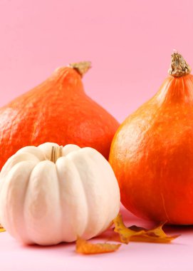 Renkli bir arka planda kırılmış hindistan cevizi. Yüksek kalite fotoğraf. Dikey fotoğraf biçimi