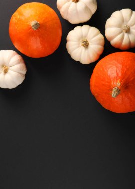 Renkli bir arka planda kırılmış hindistan cevizi. Yüksek kalite fotoğraf. Dikey fotoğraf biçimi