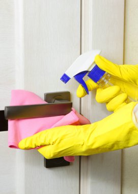 Renkli bir arka planda kırılmış hindistan cevizi. Yüksek kalite fotoğraf. Dikey fotoğraf biçimi