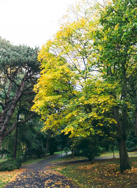 Fall Season Park — Stock Photo, Image