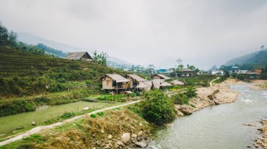 Vietnamca pirinç tarlaları güzel manzaralarını.