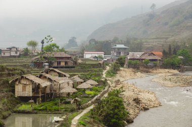 Vietnamca pirinç tarlaları güzel manzaralarını.
