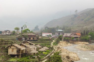 Vietnamca pirinç tarlaları güzel manzaralarını.