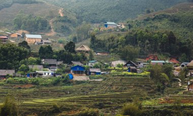 Vietnamca pirinç tarlaları güzel manzaralarını.