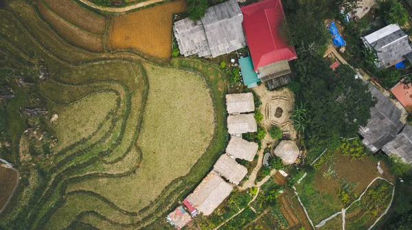 Vietnamca pirinç tarlaları güzel manzaralarını.