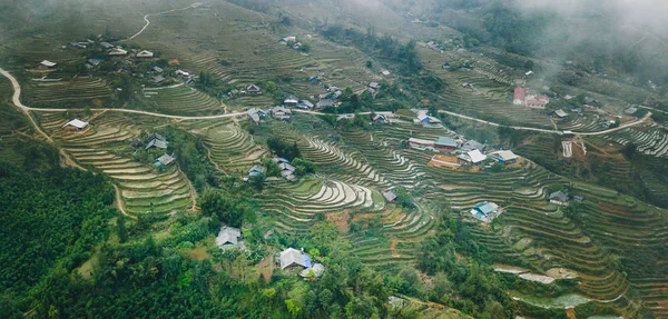 Vietnamca pirinç tarlaları güzel manzaralarını.