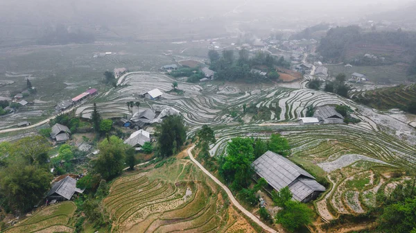 Vietnamca pirinç tarlaları güzel manzaralarını.