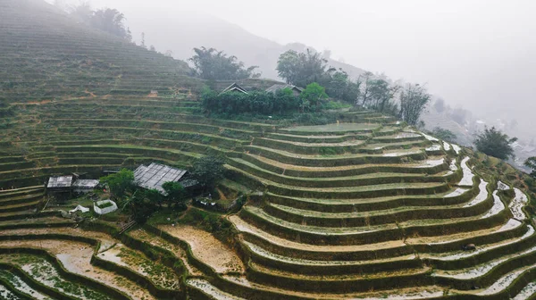 Prachtig Uitzicht Vietnamese Rijstvelden — Stockfoto