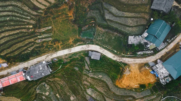 Vietnamca pirinç tarlaları güzel manzaralarını.