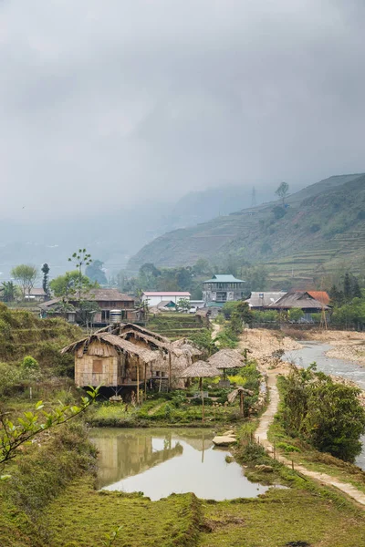 Vietnamca pirinç tarlaları güzel manzaralarını.