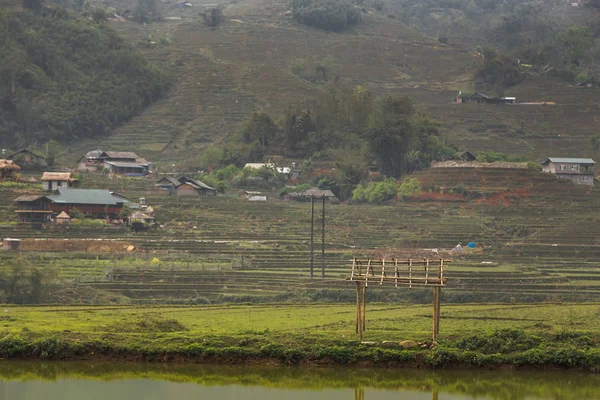 Vietnamca pirinç tarlaları güzel manzaralarını.
