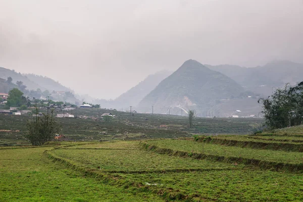 Vietnamca pirinç tarlaları güzel manzaralarını.